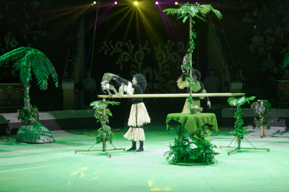 Новогодняя тайна пирата