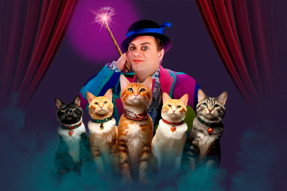 &Tcy;&iecy;&acy;&tcy;&rcy;&acy; &kcy;&ocy;&shcy;&iecy;&kcy; &icy; &Vcy;&lcy;&acy;&dcy;&icy;&mcy;&icy;&rcy; &Kcy;&ucy;&kcy;&lcy;&acy;&chcy;&iecy;&vcy;&period; &laquo;&Vcy;&ocy;&lcy;&shcy;&iecy;&bcy;&ncy;&ycy;&iecy; &kcy;&ocy;&shcy;&kcy;&icy;&raquo;