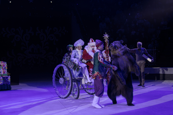 Новогодняя тайна пирата