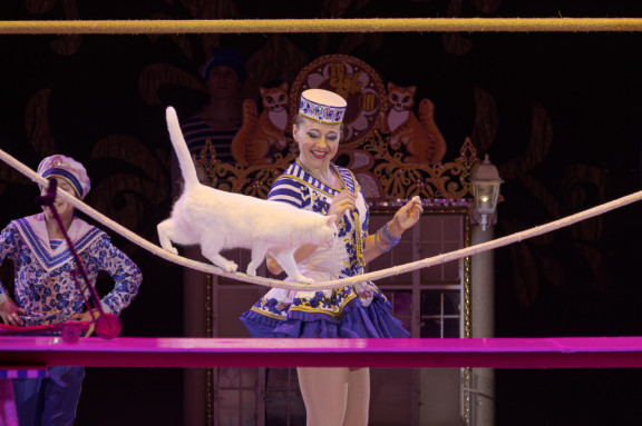 Новогодняя тайна пирата