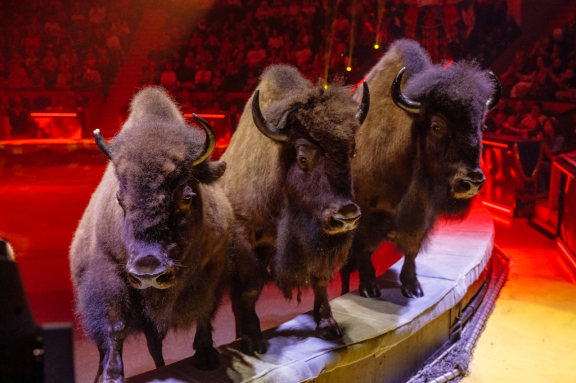 &Pcy;&yacy;&tcy;&softcy; &kcy;&ocy;&ncy;&tcy;&icy;&ncy;&iecy;&ncy;&tcy;&ocy;&vcy;