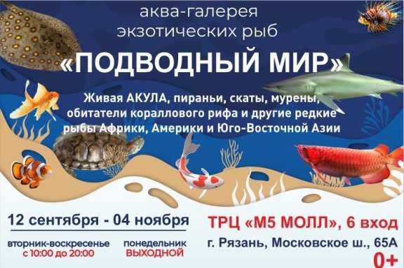 Аква-галерея «Подводный мир»